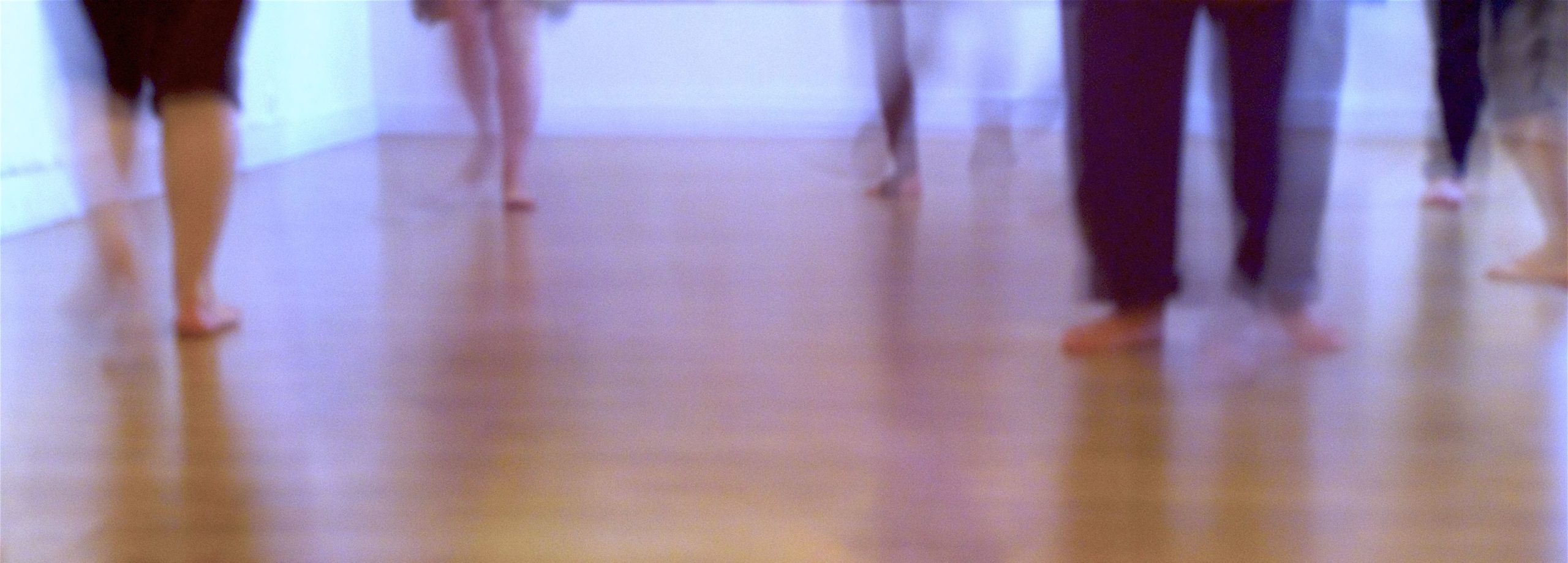 Biodanza_schmal Biodanza